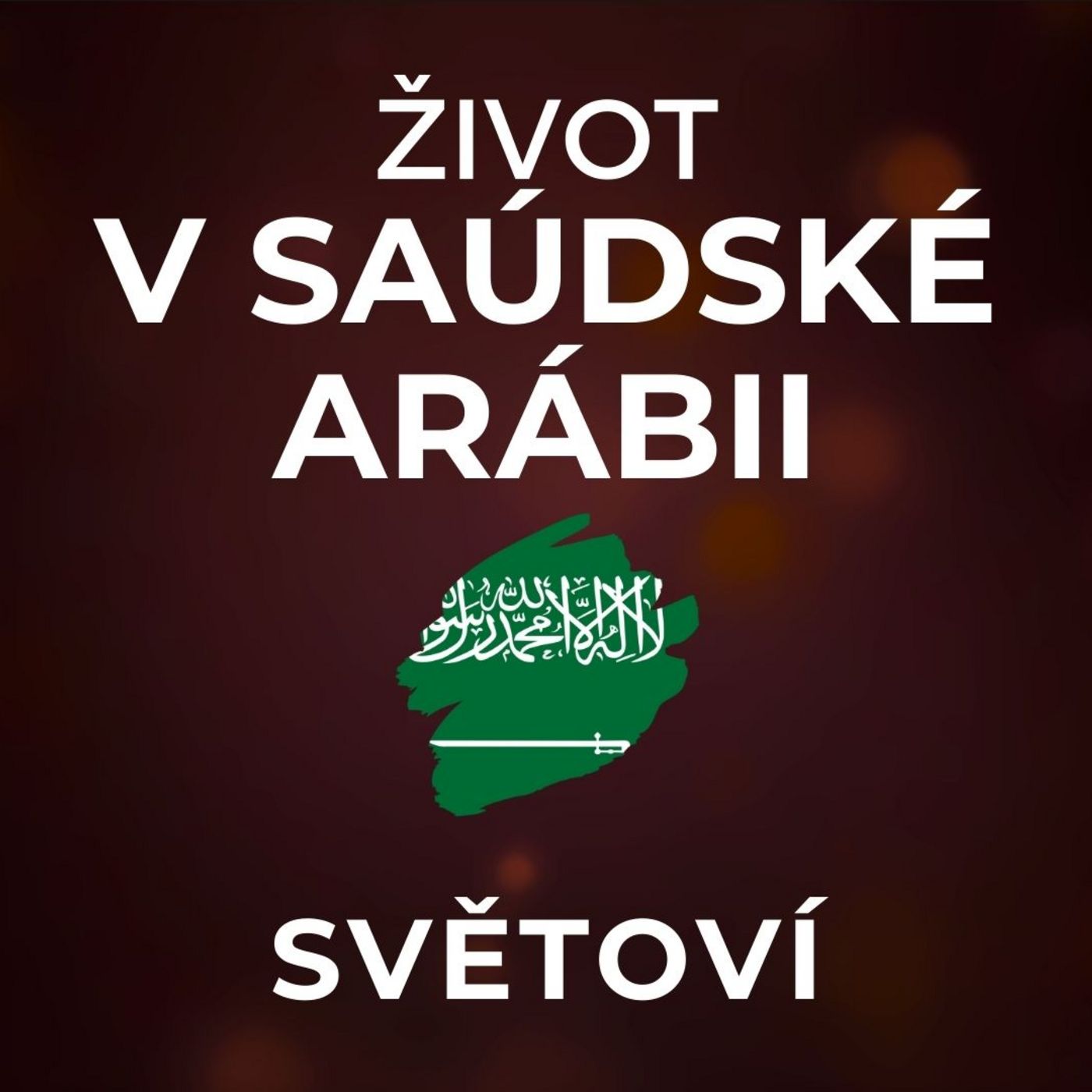 Život v Saúdské Arábii: Ženy se přímo panicky bály, aby cizinec nespatřil jejich tvář. | SVĚTOVÍ Život v Saúdské Arábii: Ženy se přímo panicky bály, aby cizinec nespatřil jejich tvář. | SVĚTOVÍ