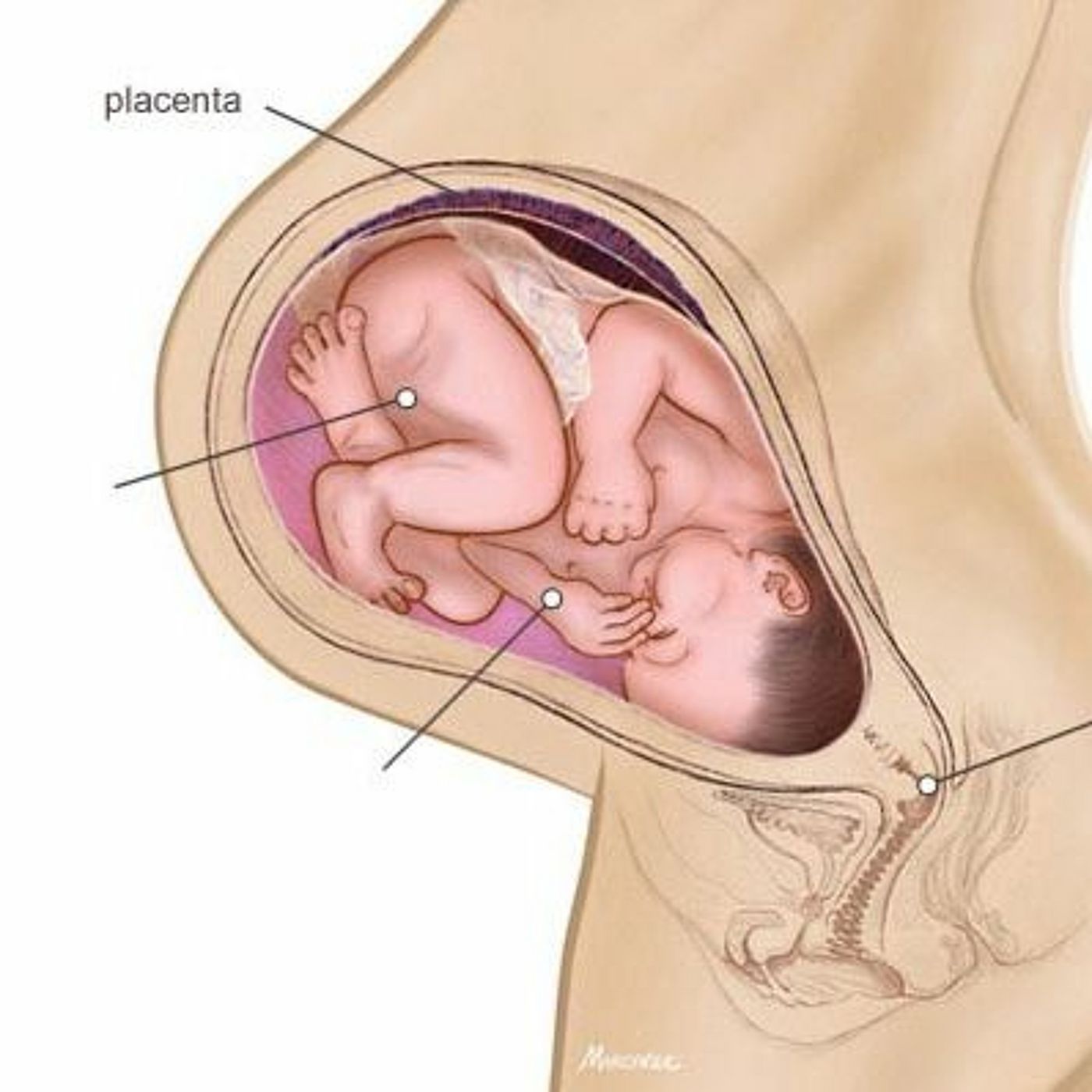 Message for you that am pregnant episode artwork