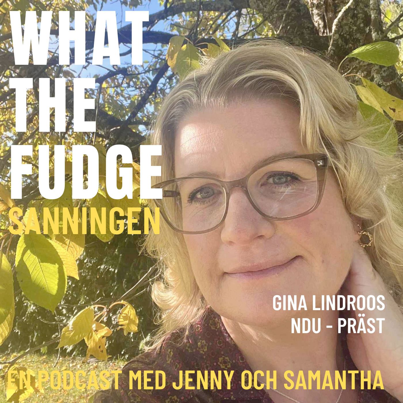 W40. Gina Lindroos - NDU - Under en nära dödenupplevelse som barn fick Gina med sig något som hon fortfarande bär med sig episode artwork