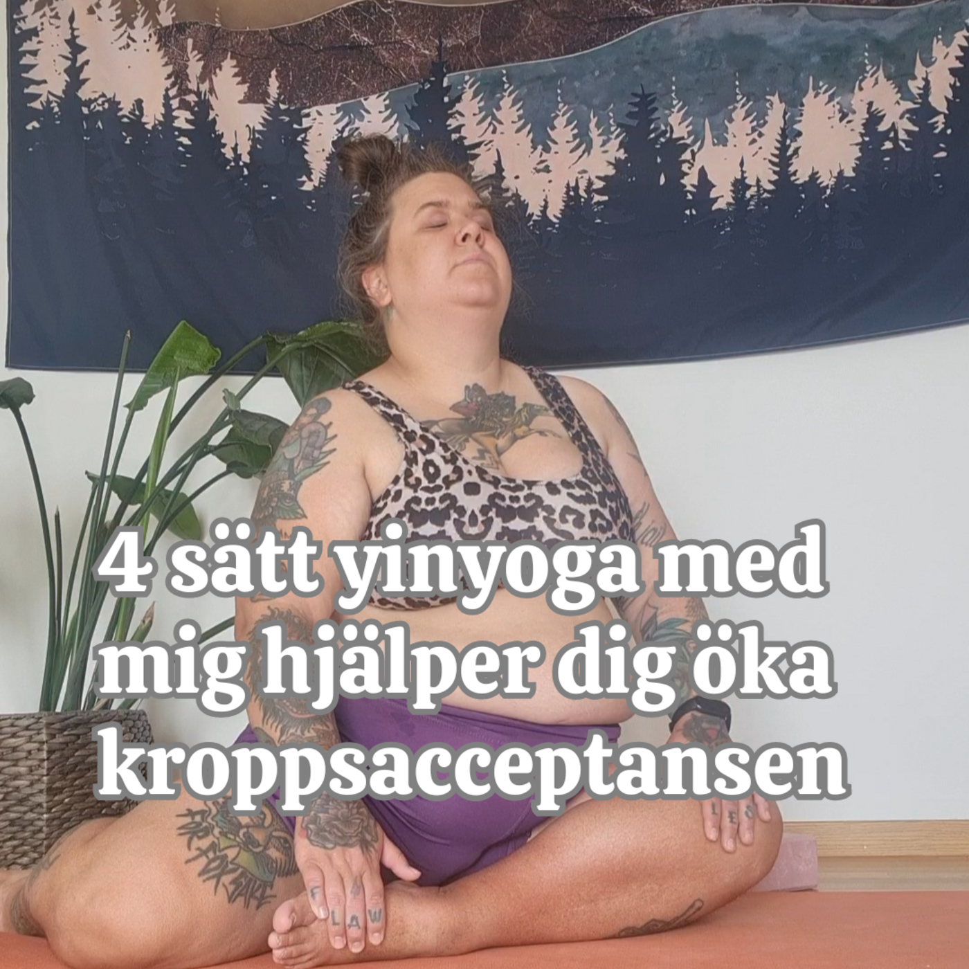 Släpp tyglarna