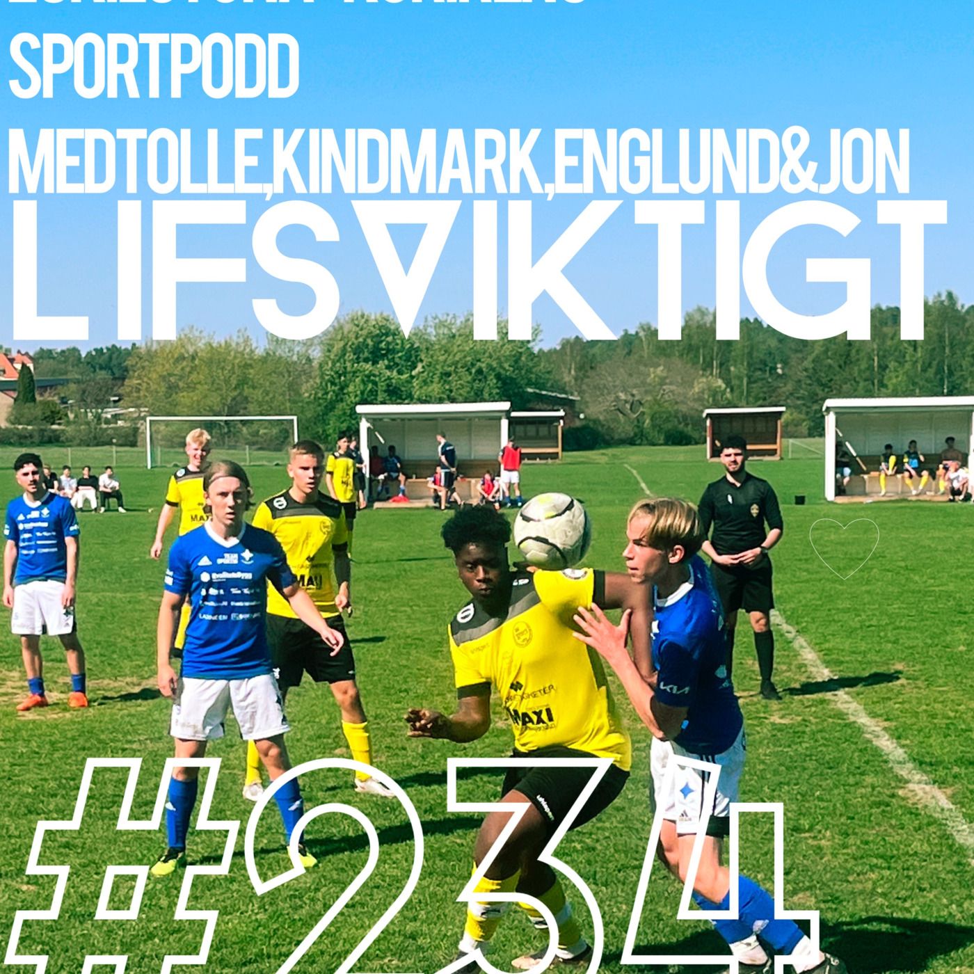 Episode 234: Lifsviktigt episode artwork