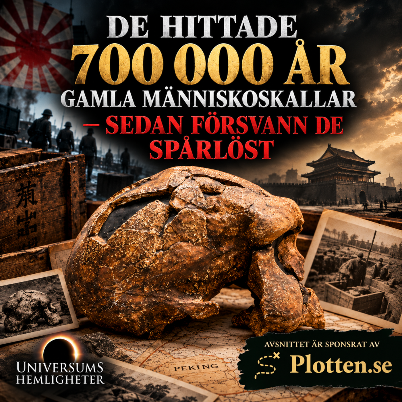 De hittade 700 000 år gamla människoskallar – sedan försvann de spårlöst episode artwork