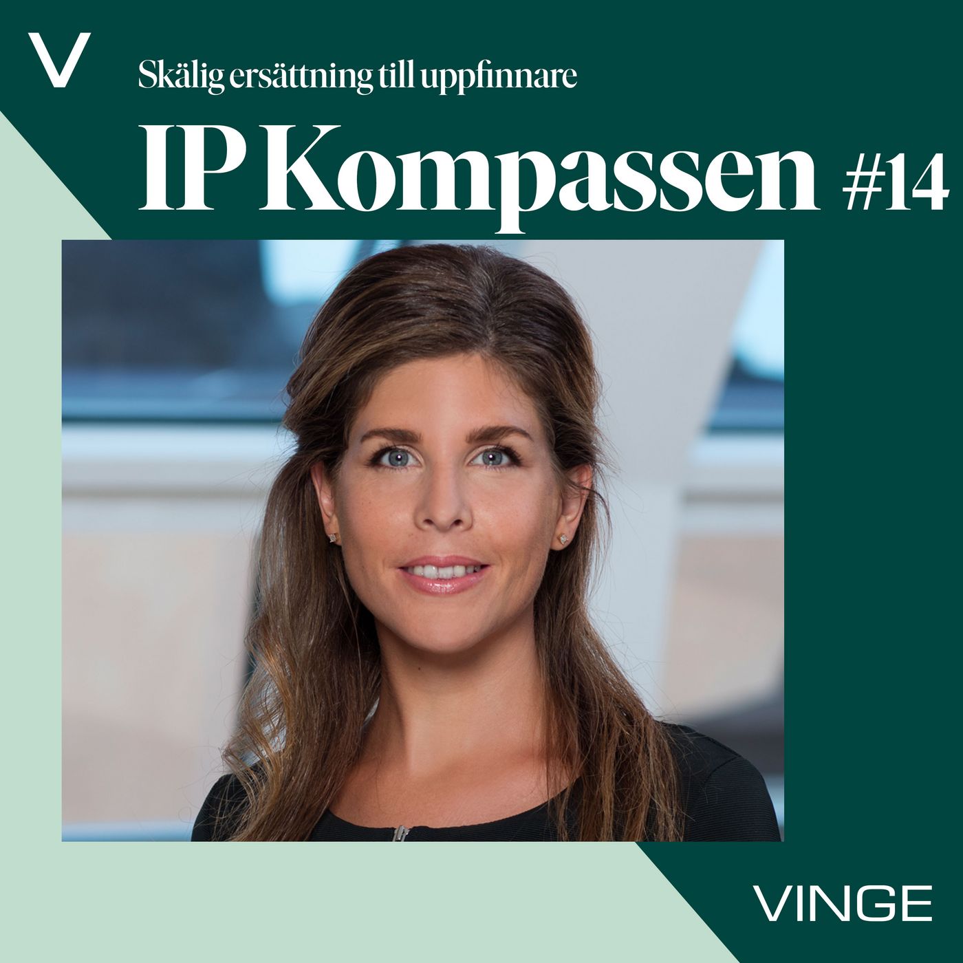 IP-Kompassen