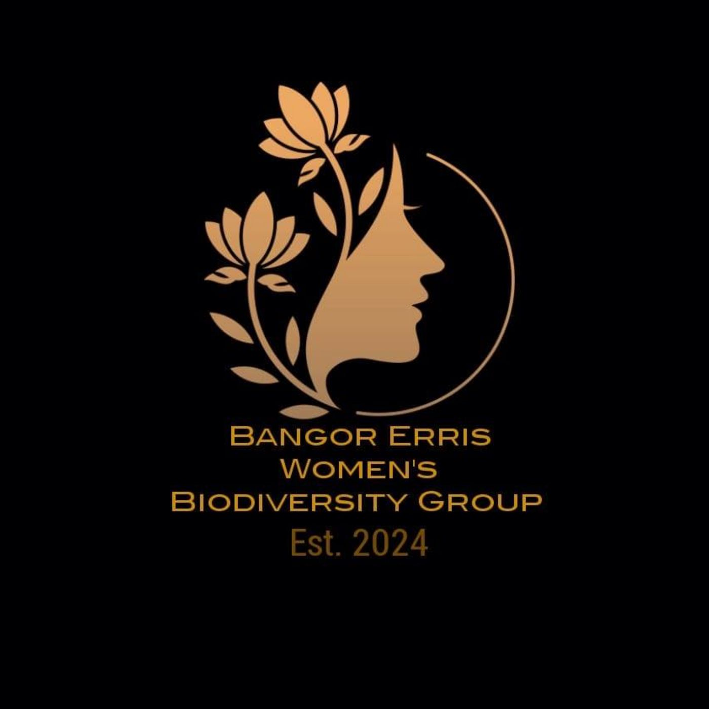Erris FM Podcasts