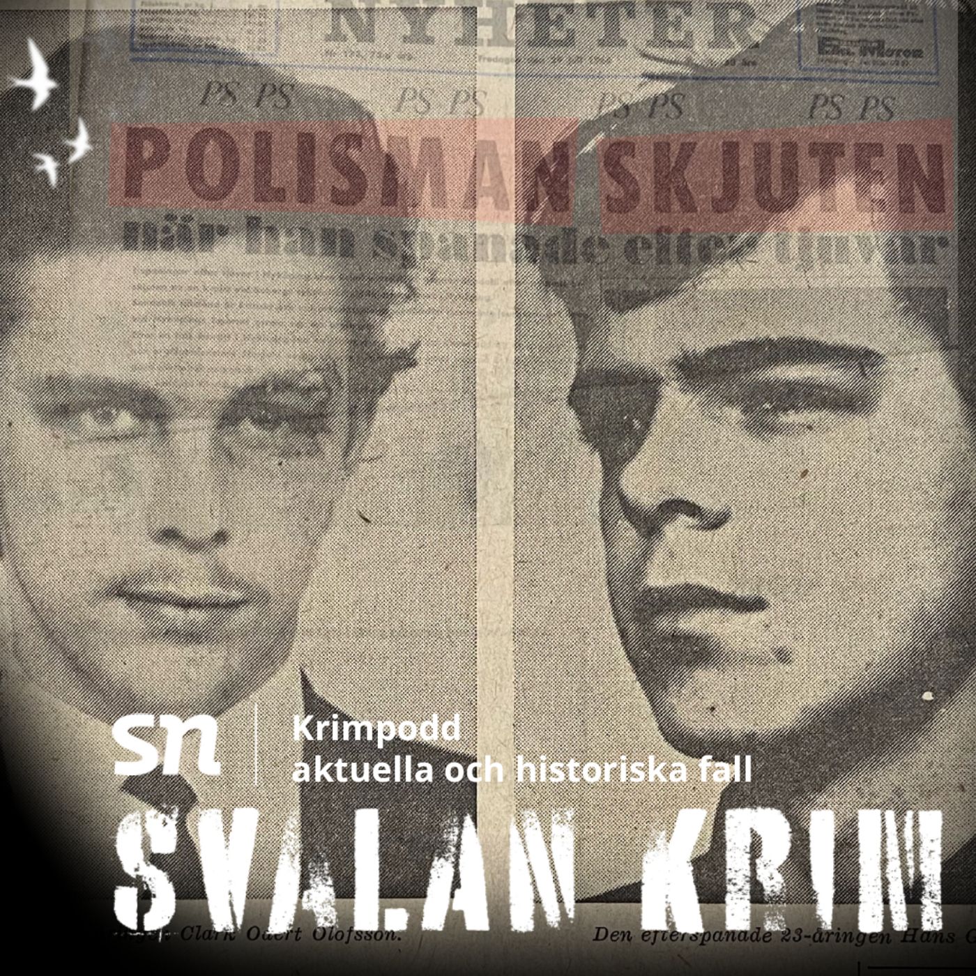 Polismordet i Nyköping och jakten på Clark episode artwork