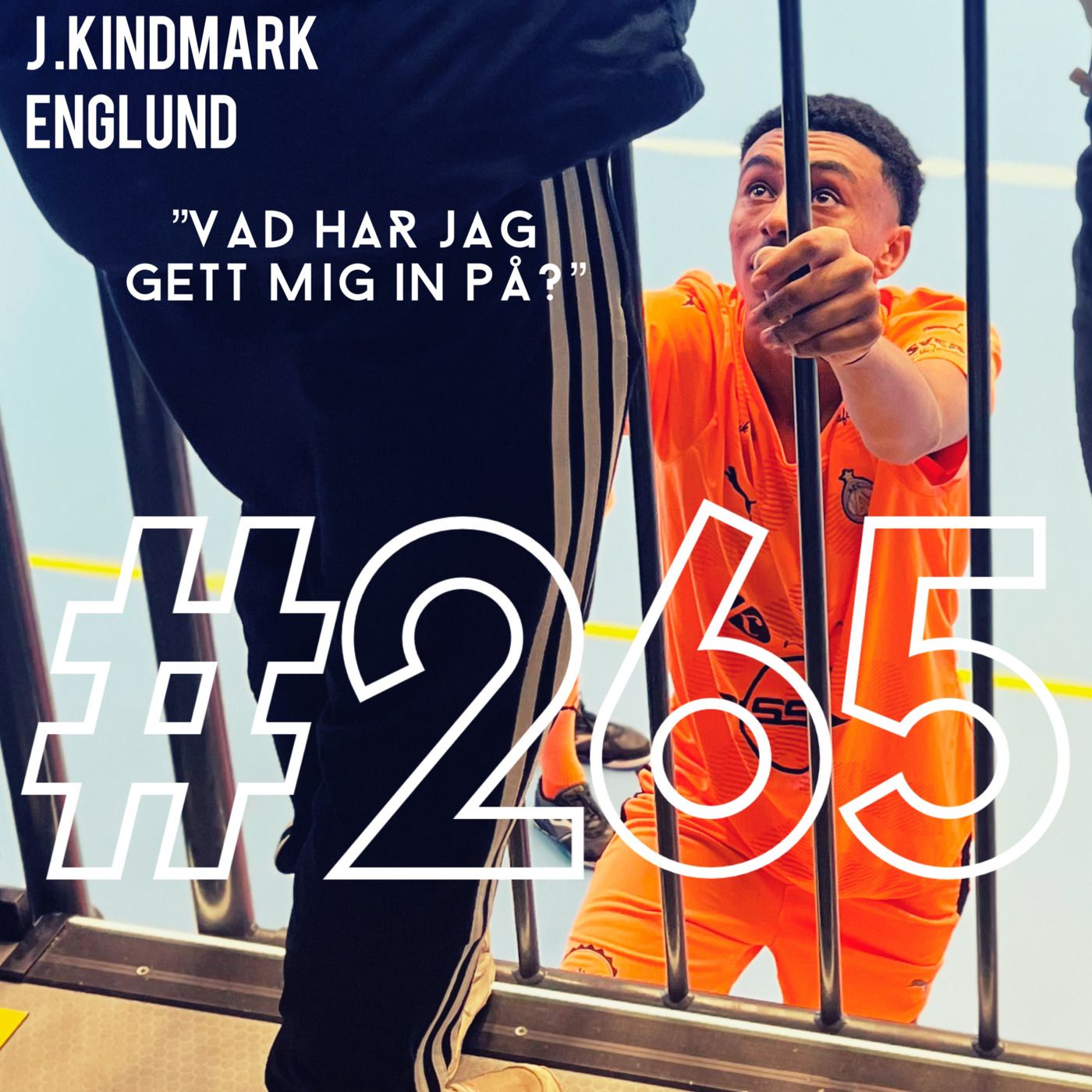Episode 265: "Vad har jag gett mig in på?" episode artwork