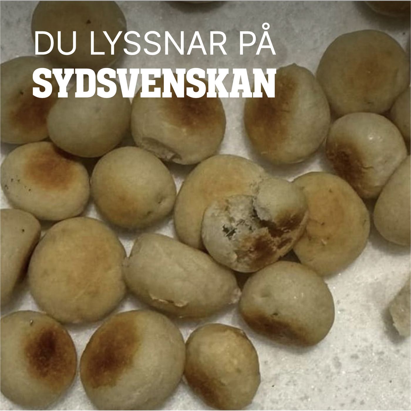 Vem lägger ut de livsfarliga hundbullarna? episode artwork