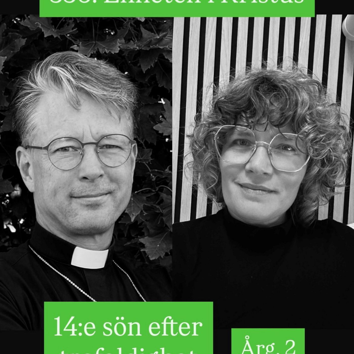 336. Fjortonde sön efter trefaldighet (årg 2)