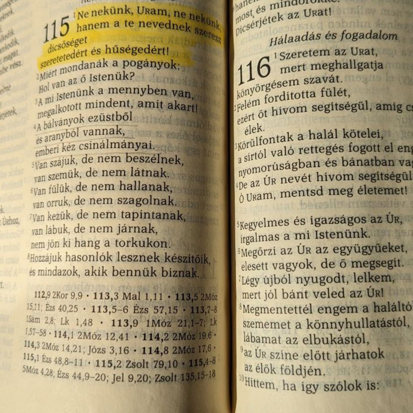 Húsvét 2. napja - MGyTK episode artwork