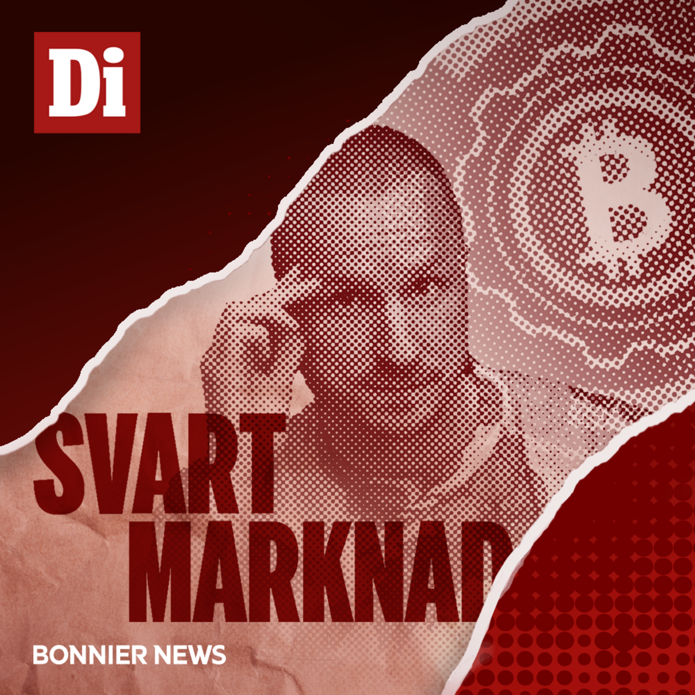Företagaren efter polisens utredning: ”Jag blir mörkrädd” (2/2) episode artwork
