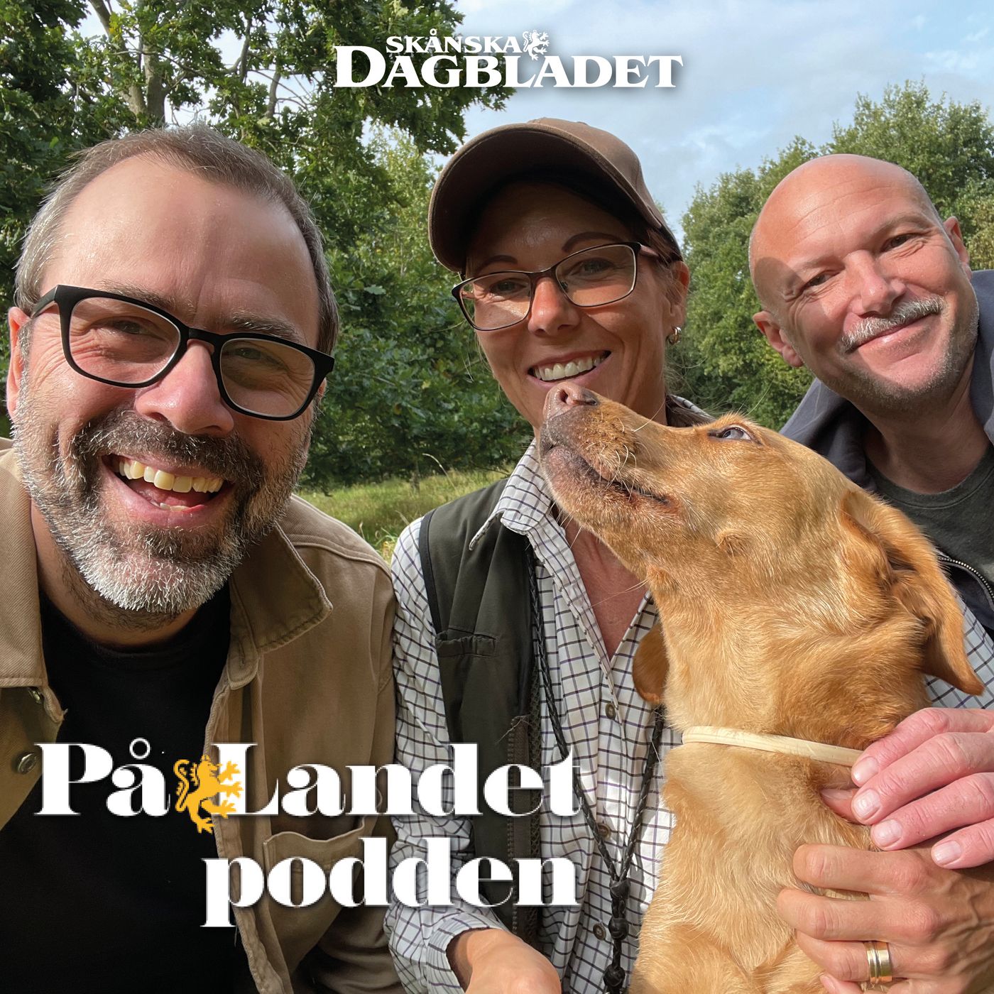 Älskat hundgöra i Saxtorp