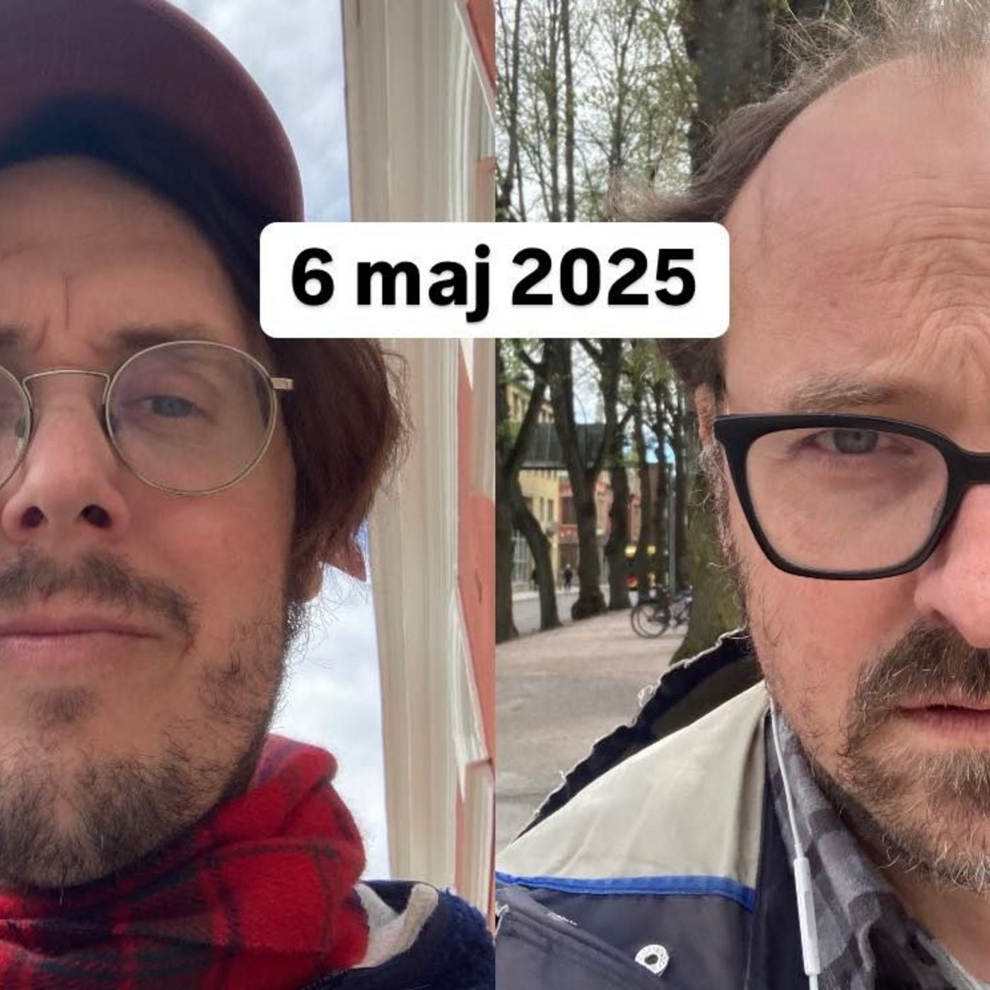Rådjur i regnet