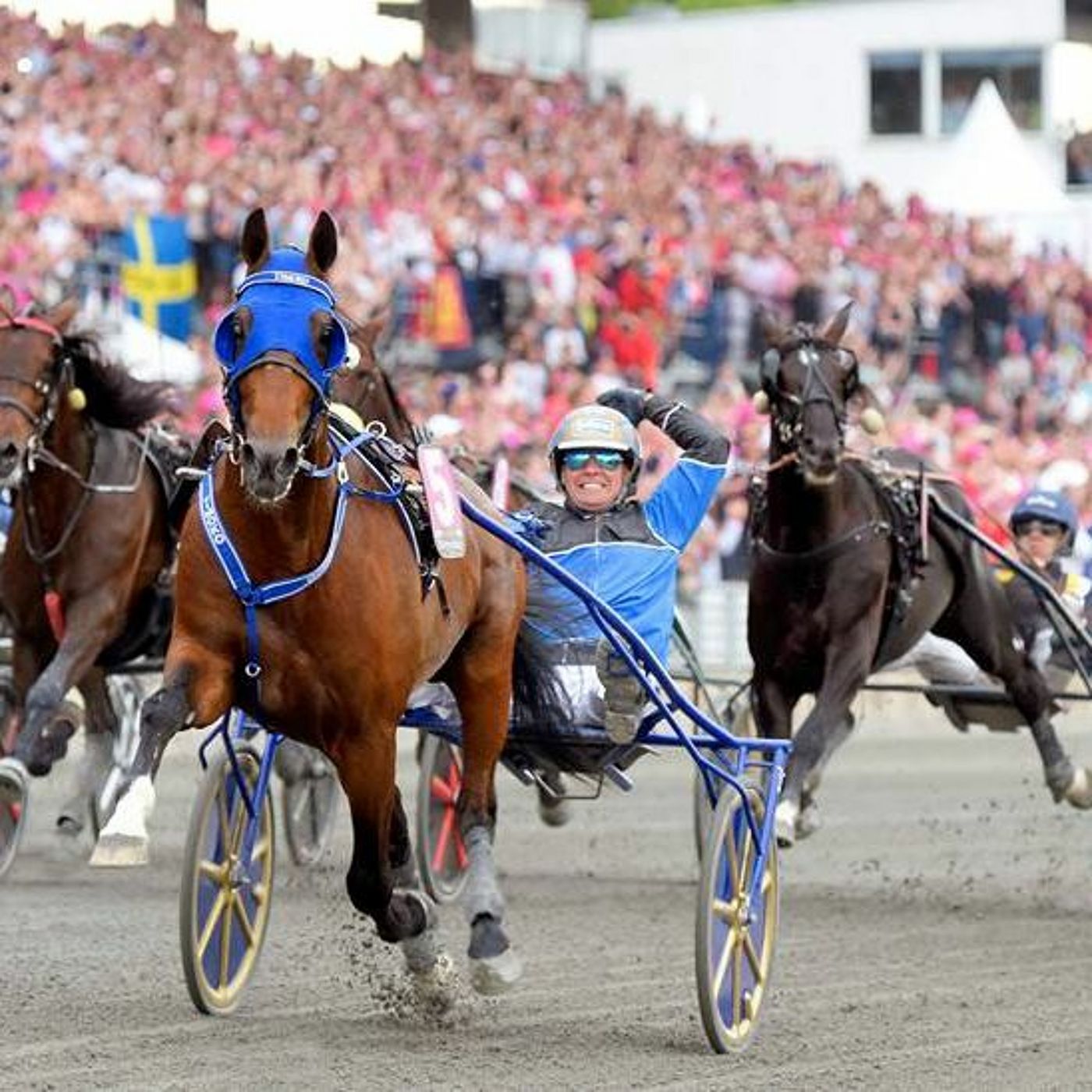 Vem Vinner Elitloppet (Podden - Del 2)