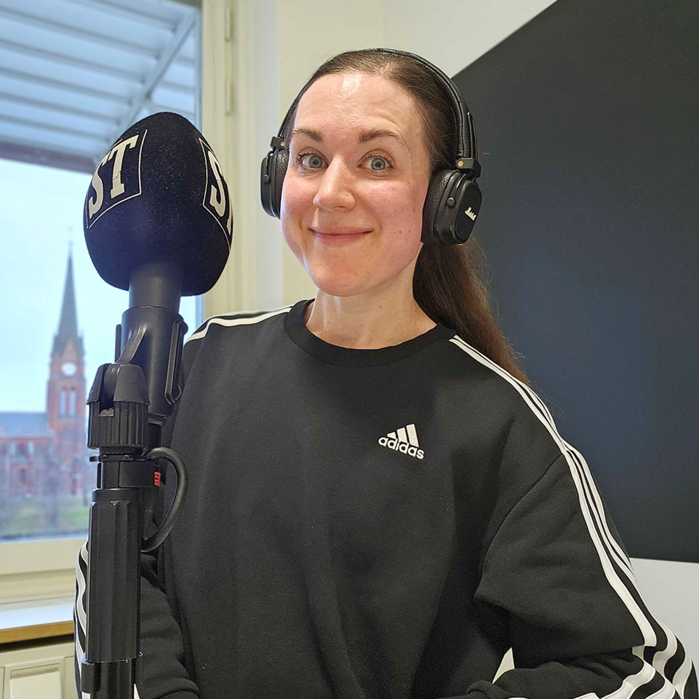 Drömjobbet