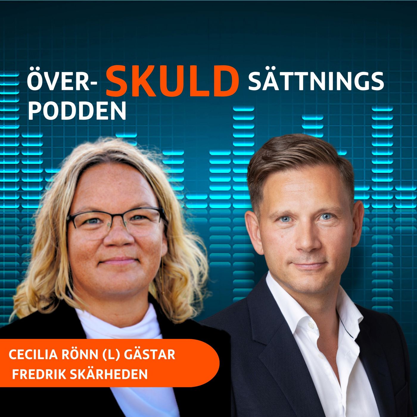 Cecilia Rönn (L). Vilket ansvar har politiken för skulderna? episode artwork
