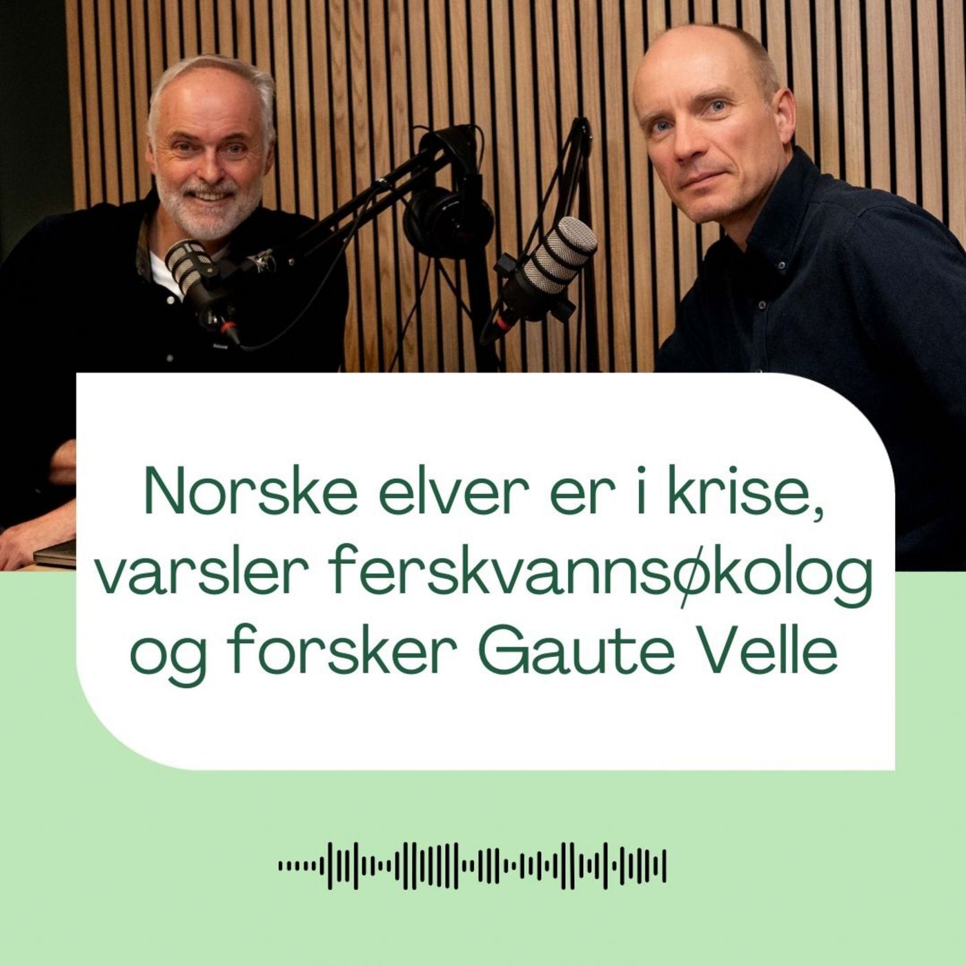 Norge mangler ferskvannsøkologer. Samtale med Gaute Velle, forsker og ferskvanssøkolog