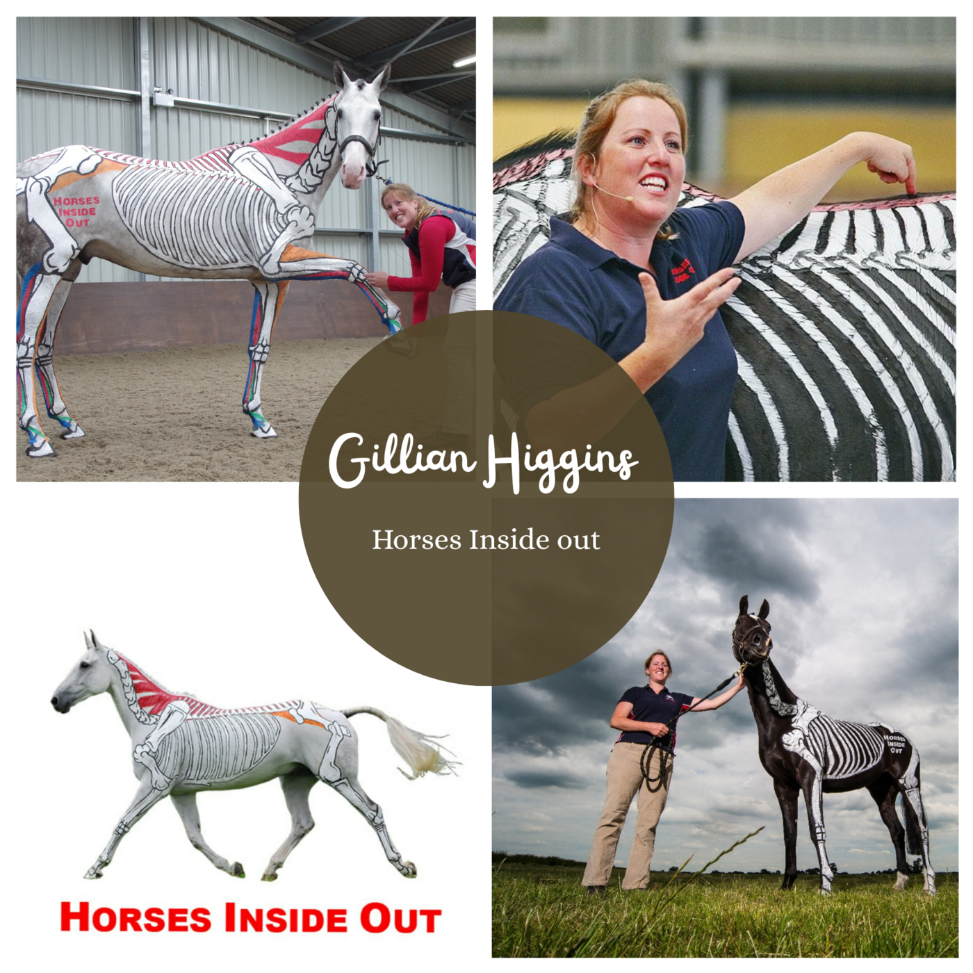 Avsnitt 46 Horses Inside Out with Gillian Higgins episode artwork