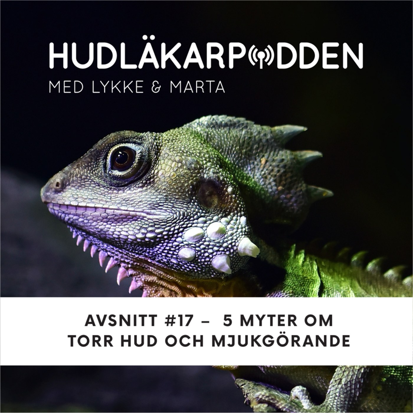 Hudläkarpodden