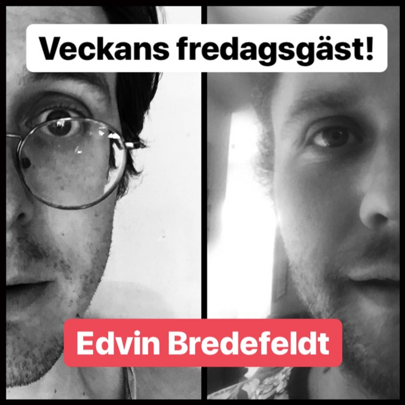 Rådjur i regnet