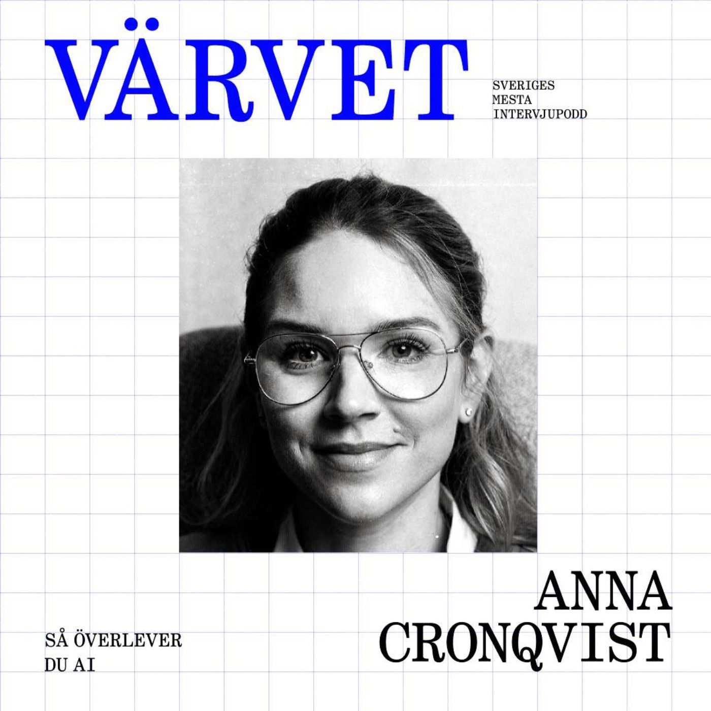 AI: Så använder du det utan att bli ersatt – Anna Cronqvist