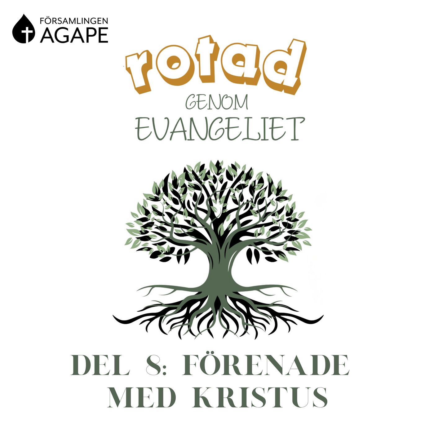 Del 8 - Förenade med Kristus (Adam Rosman) episode artwork