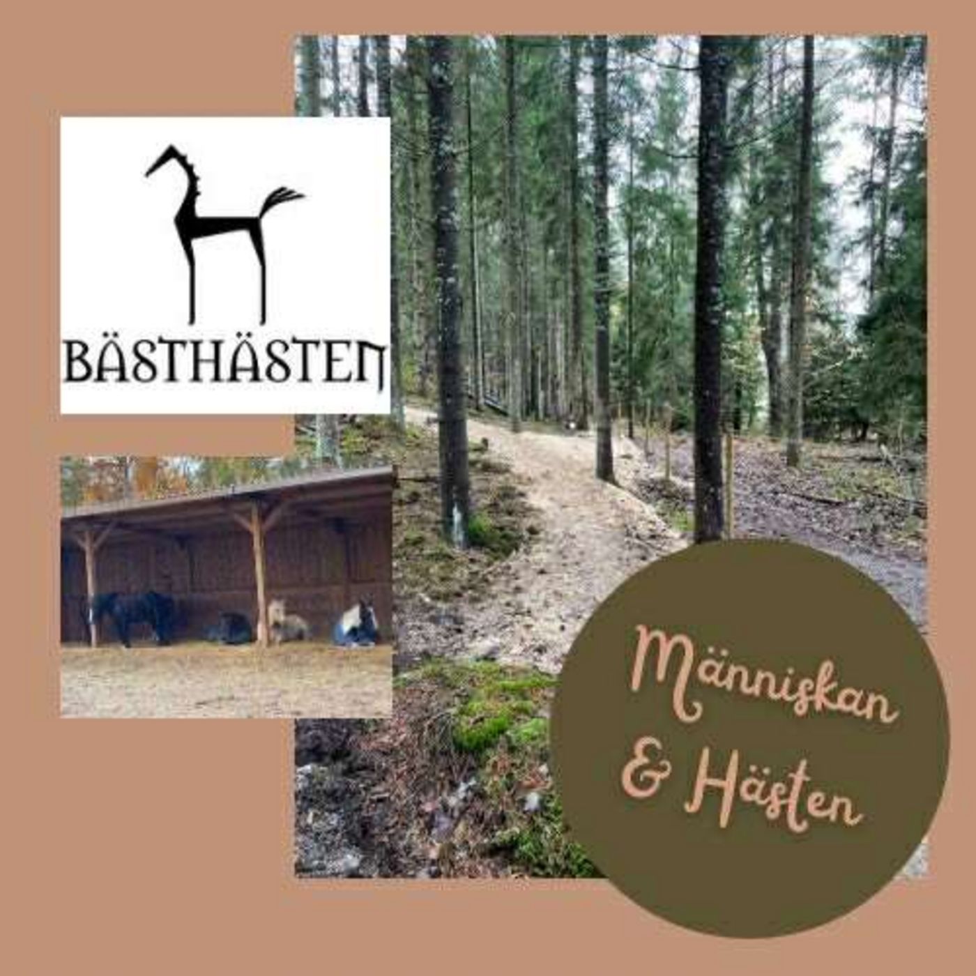 Avsnitt 61 BästHästen - en Lösdriftsdröm