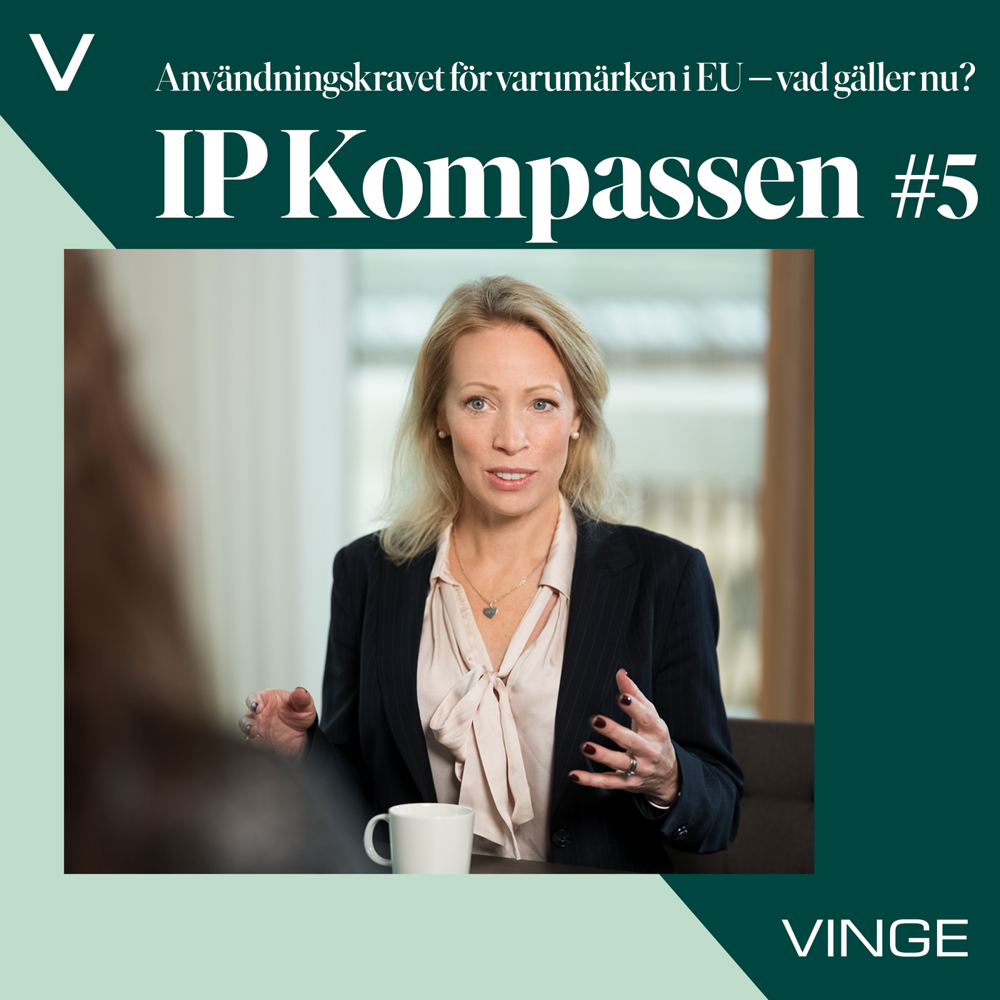 IP-Kompassen