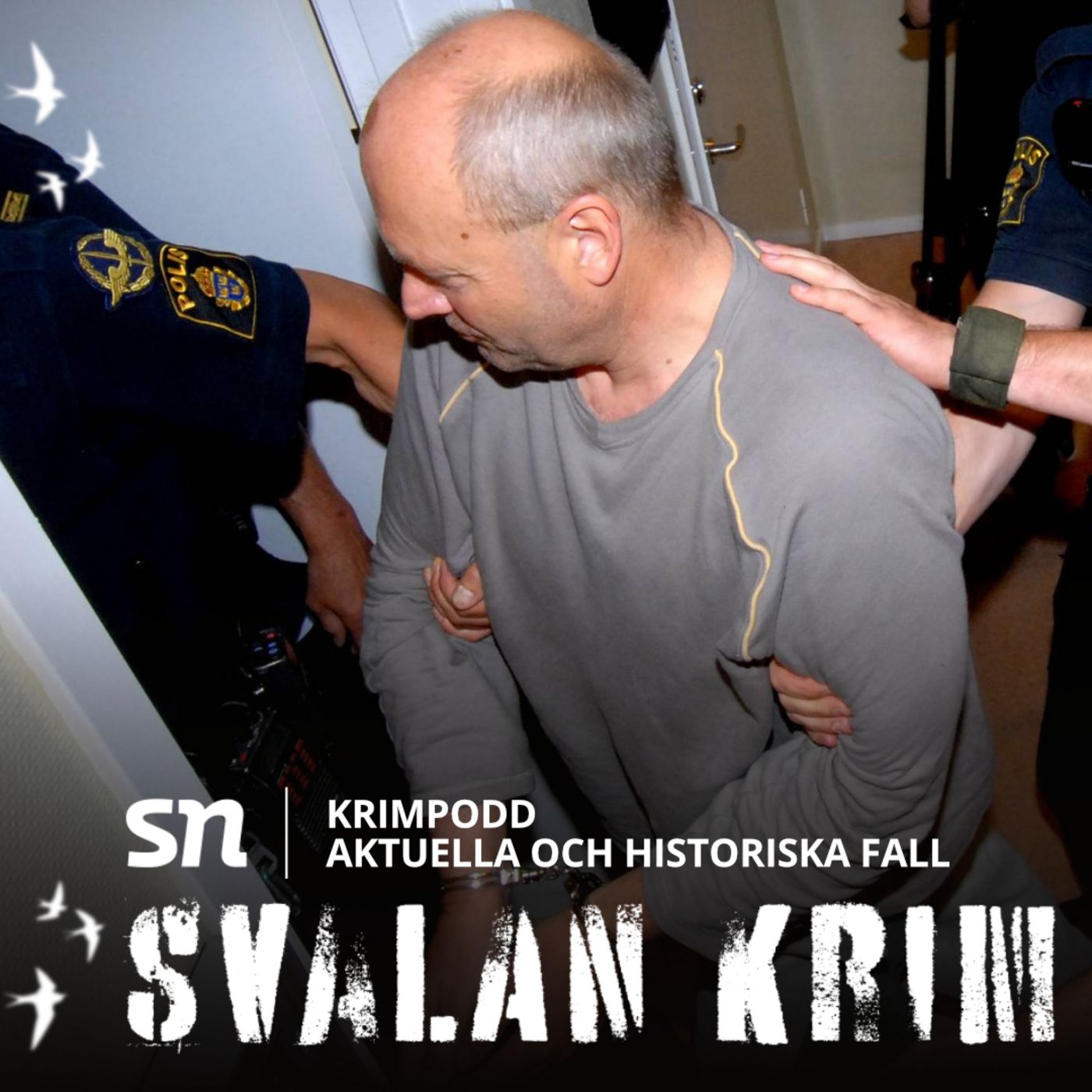 Svalan Krim