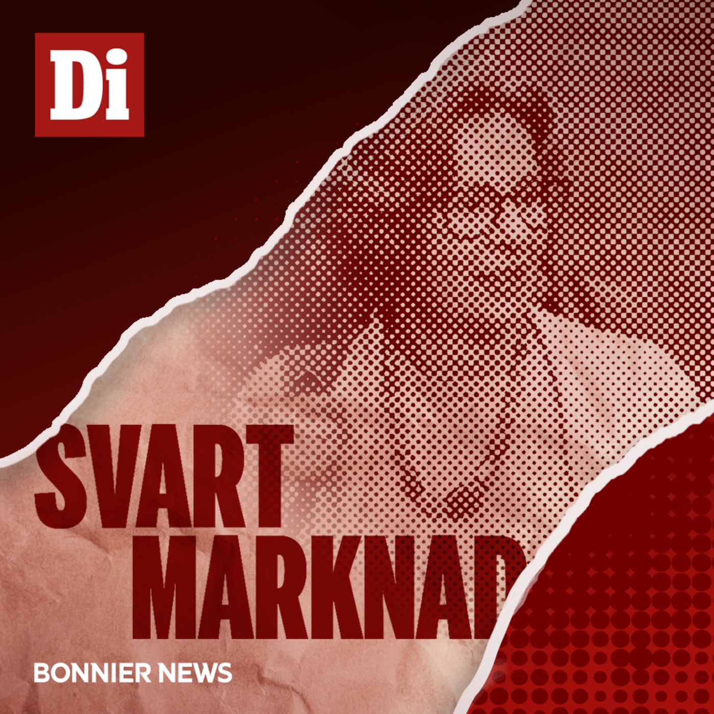 Bonnesen-fallet från början till slut episode artwork