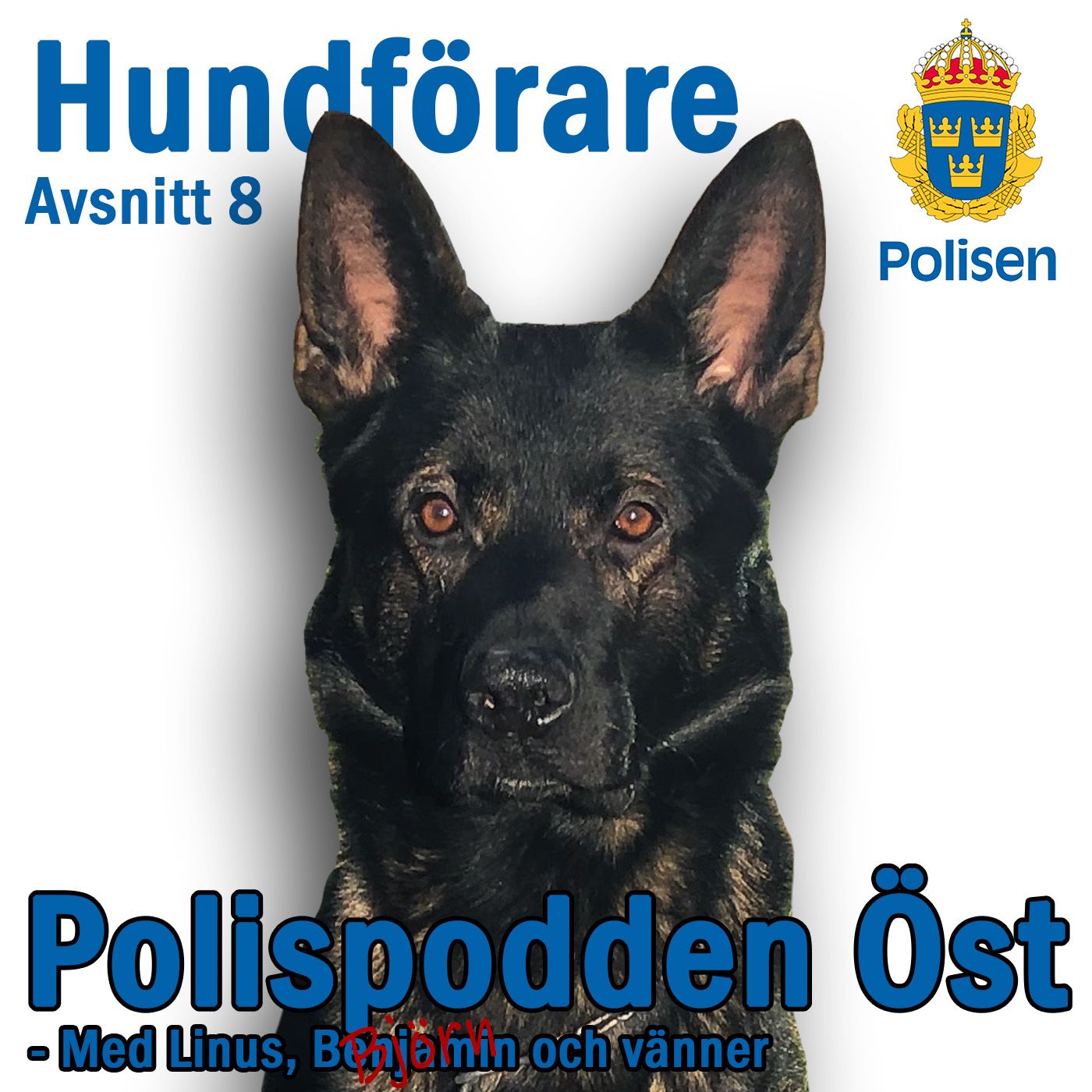 Polispodden Öst