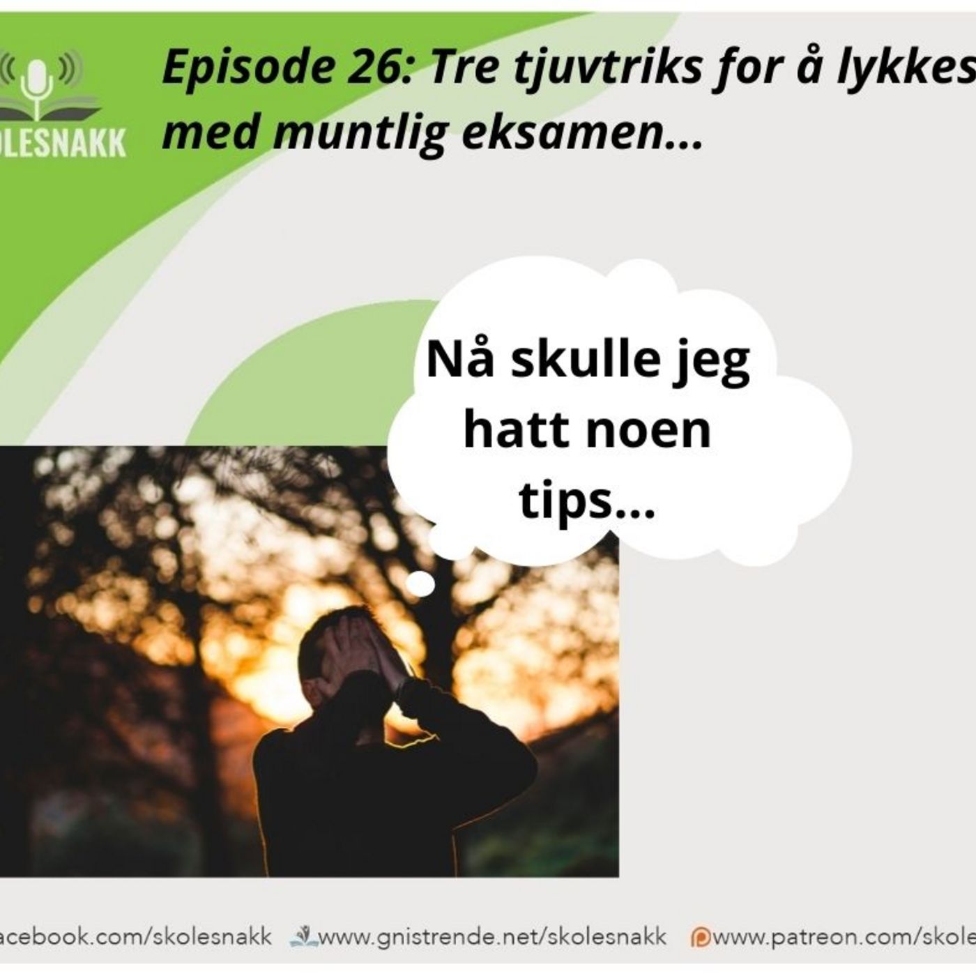 Skolesnakk
