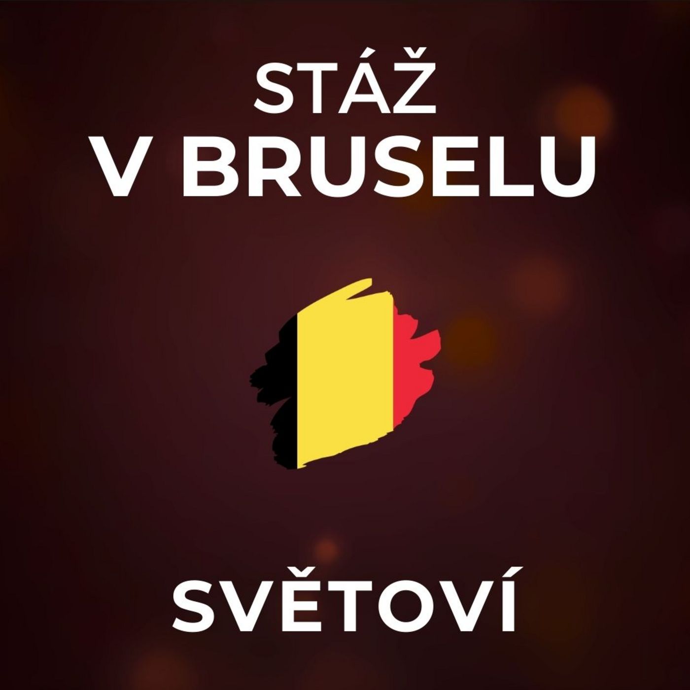 Stáž u europoslance: Dotační kauzy na Česko v europarlamentu vrhají špatné světlo. | SVĚTOVÍ Stáž u europoslance: Dotační kauzy na Česko v europarlamentu vrhají špatné světlo. | SVĚTOVÍ