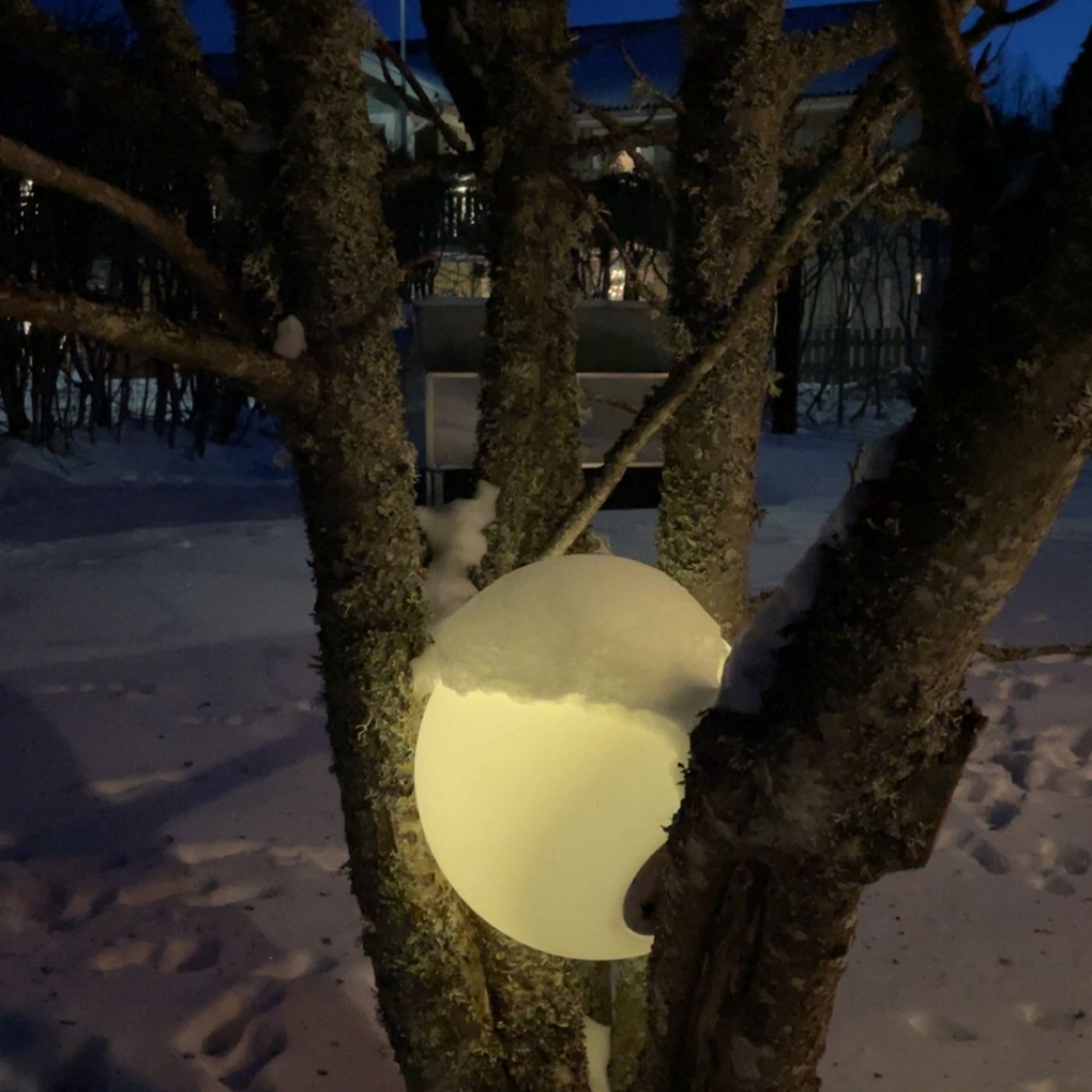 Avsnitt 133 - Prolog Ulf Avsnitt 133 - Prolog Ulf