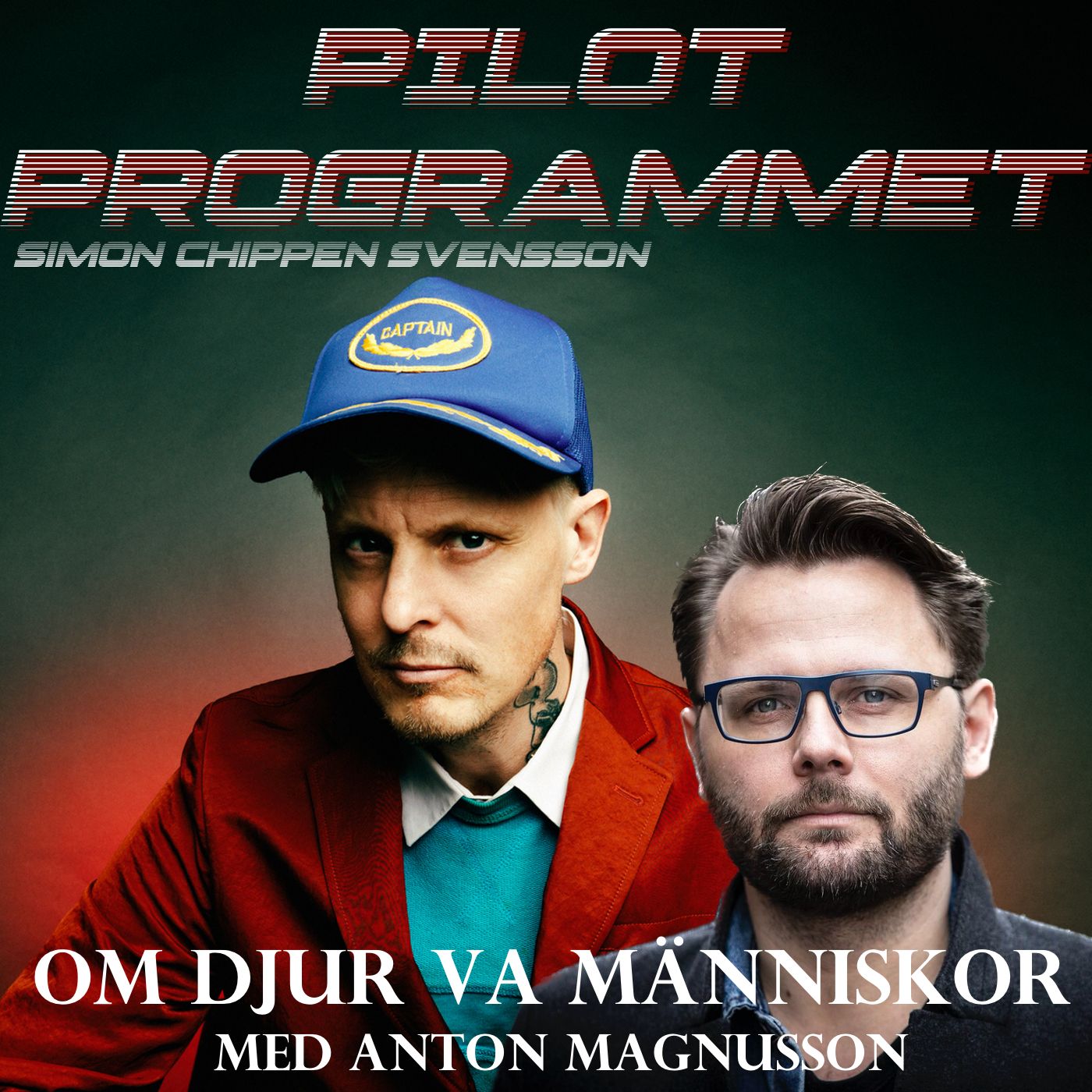 Pilotprogrammet