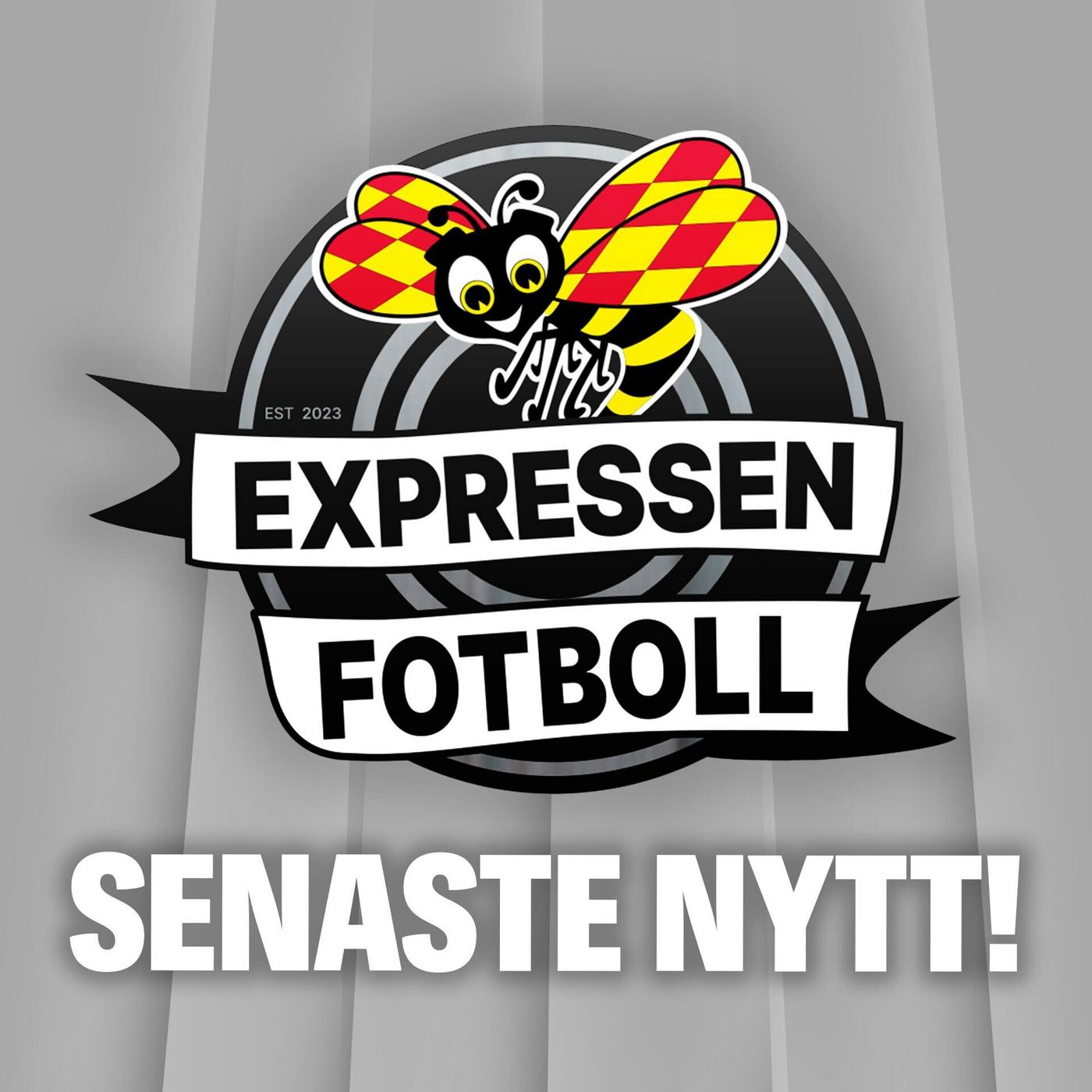 SENASTE NYTT: Vad tar vi med oss från premiärträningarna?