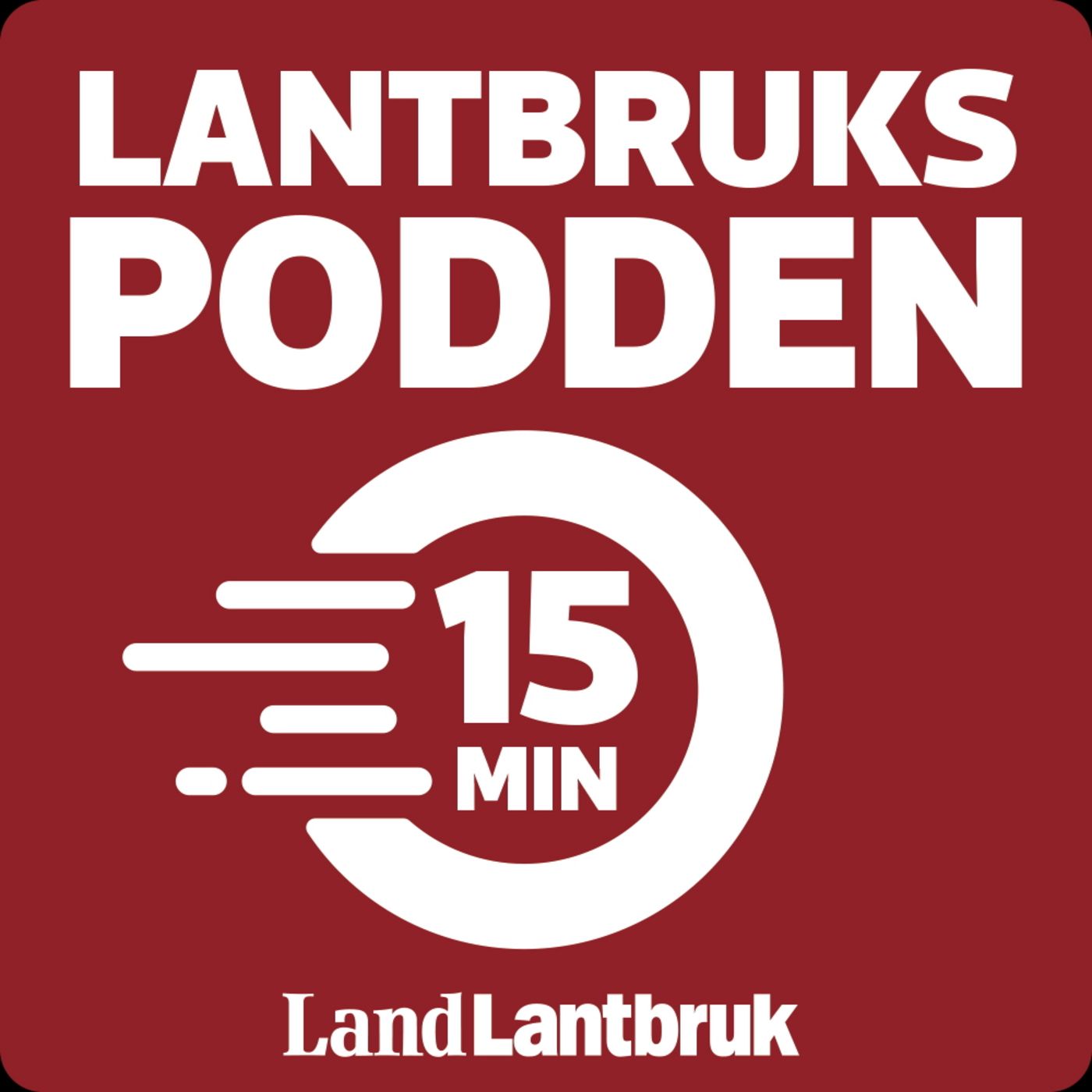Lantbrukspodden – 15 minuter: Fredag 19 december