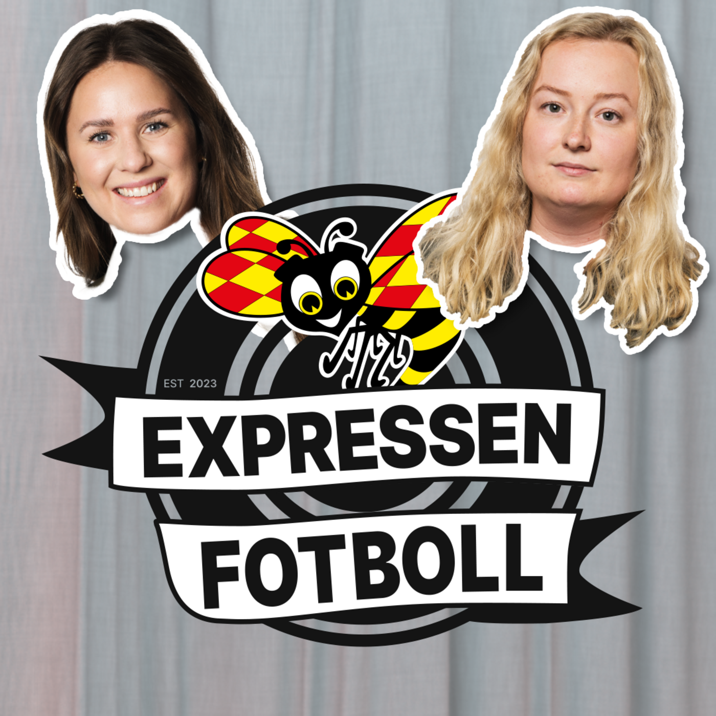 Allt inför EM-kvalmatchen mot Lejoninnorna