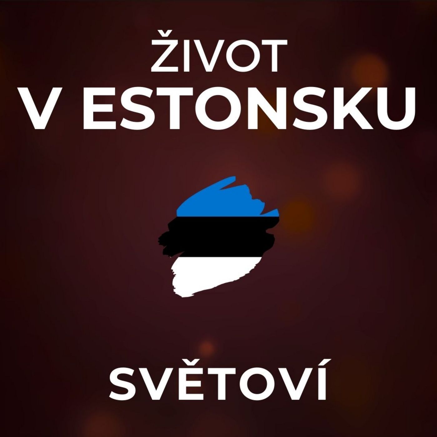 Život v Estonsku: Tisíce rusky mluvících Estonců nemají občanství, ale do Ruska nechtějí. | SVĚTOVÍ