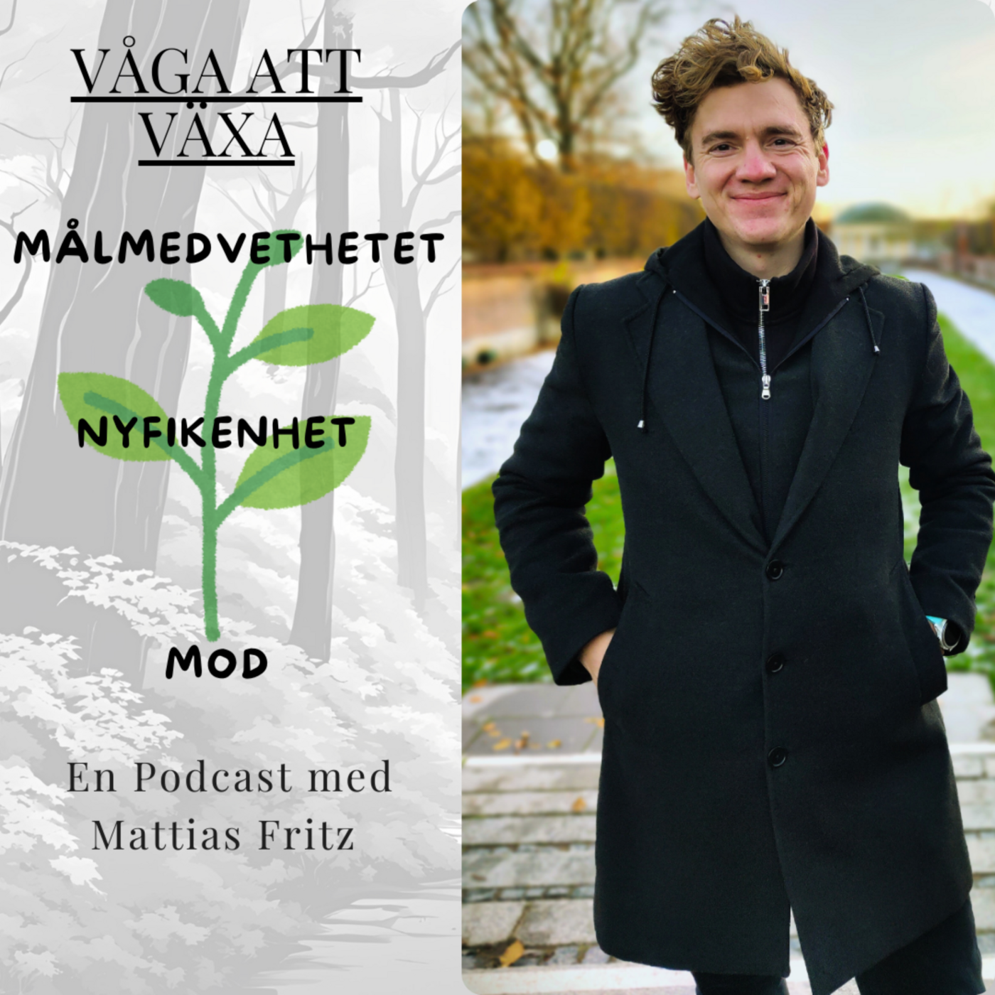 Vad är vänskap för dig? Med Sebastian Cürlie Olsson podcast artwork