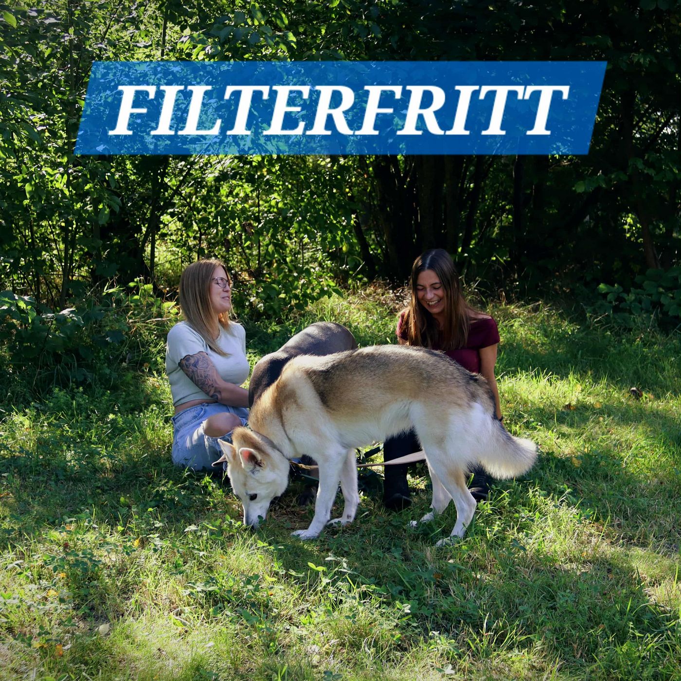 Filterfritt