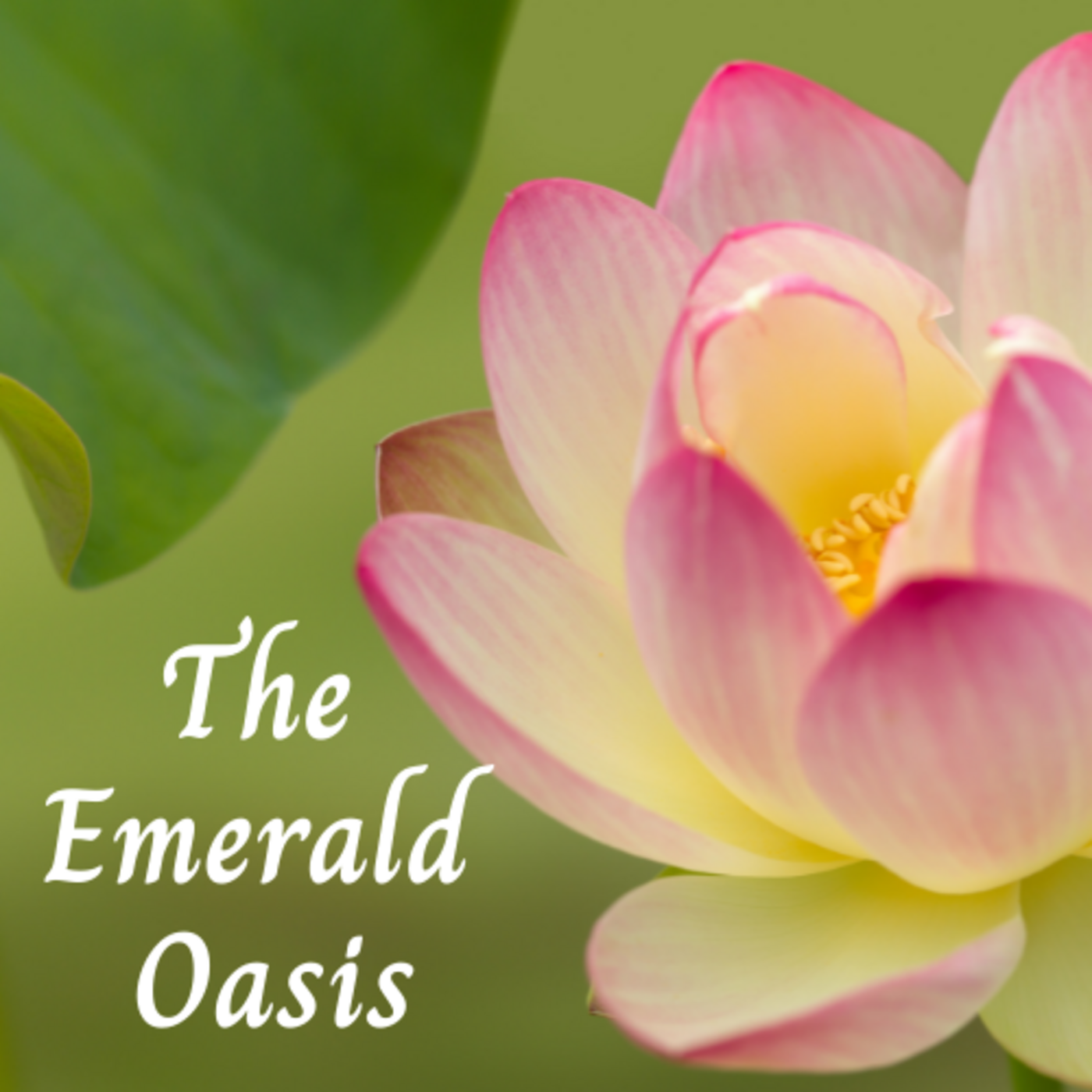 The Emerald Oasis - Wellbeing Podcast