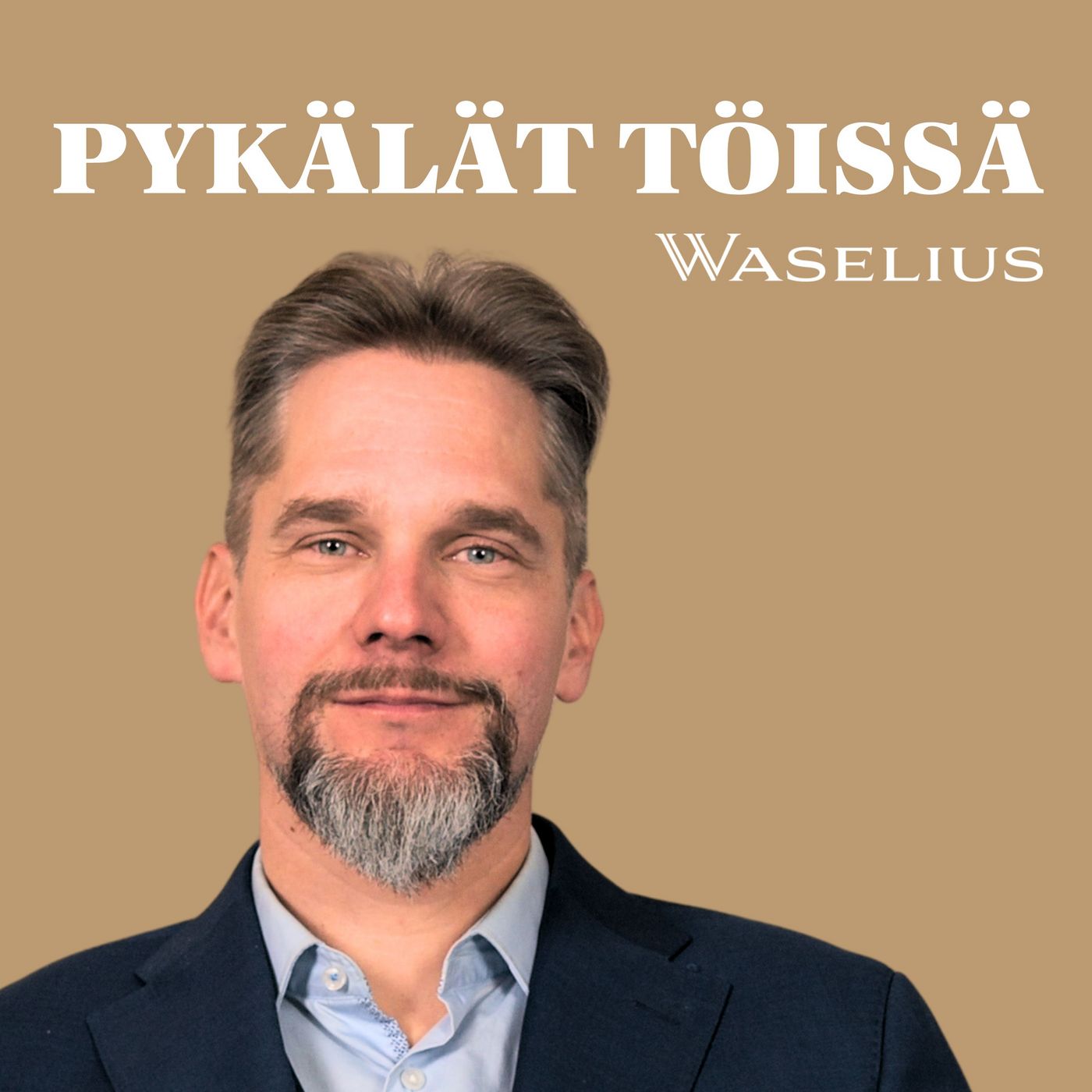 Pykälät töissä