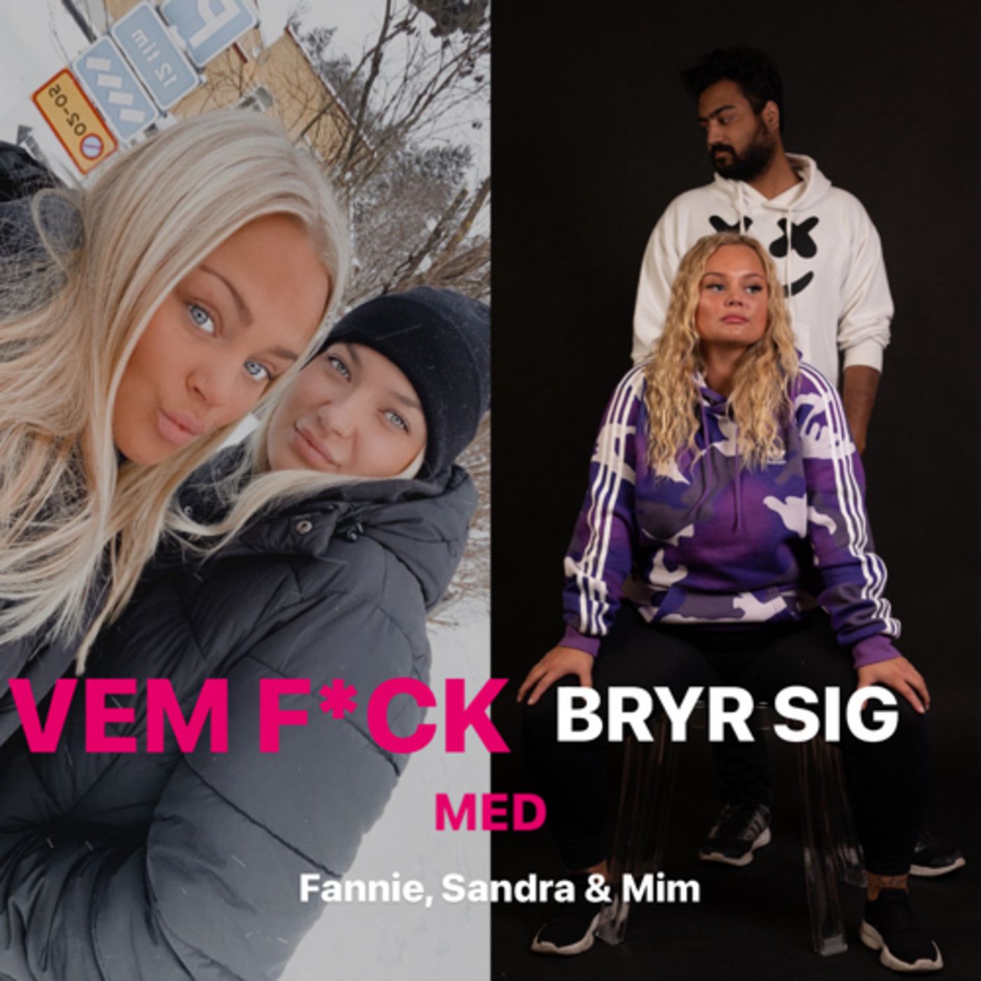 Vem F*ck Bryr Sig podcast artwork